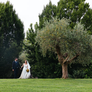 Foto sposi che passeggiano in mezzo agli ulivi